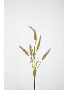 Colours & Green Cattail x5 Leaves 85cm