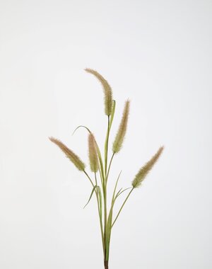 Colours & Green Cattail x5 Leaves 85cm
