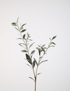 Colours & Green Olive lvs Spray 78cm