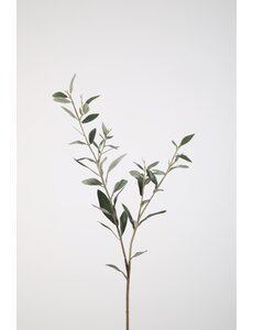 Colours & Green Olive lvs Spray 78cm