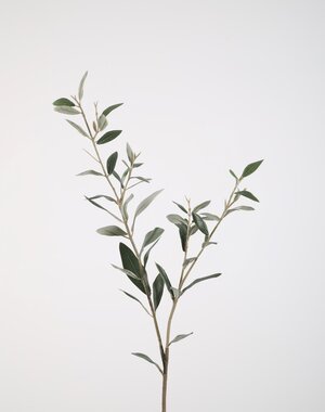 Colours & Green Olive lvs Spray 78cm