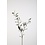 Colours & Green Olive lvs Spray 78cm