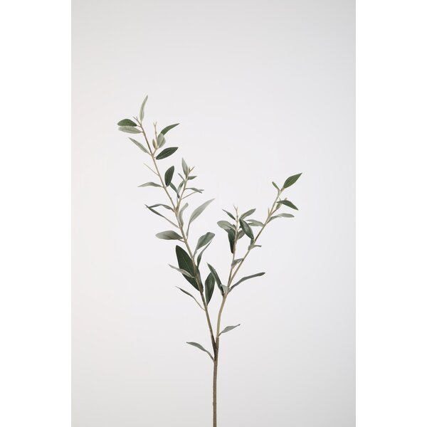 Colours & Green Olive lvs Spray 78cm