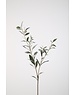 Colours & Green Olive lvs Spray 78cm