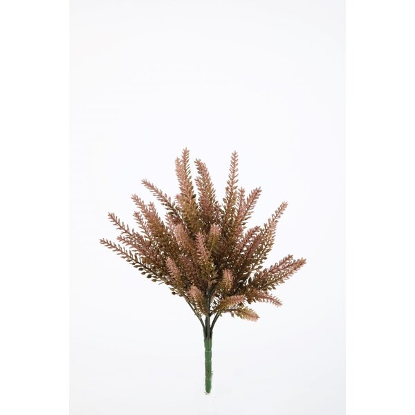Colours & Green Heather Bush 35cm