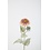 Colours & Green Mum Spray 74cm