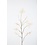 Colours & Green Rosehip Spray 110cm