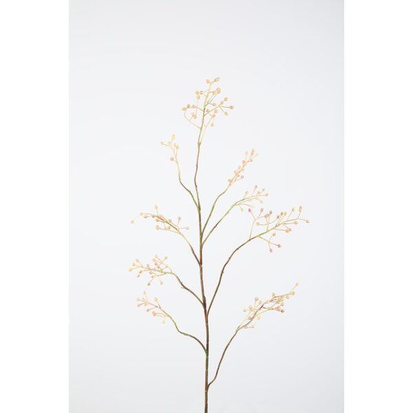 Colours & Green Rosehip Spray 110cm