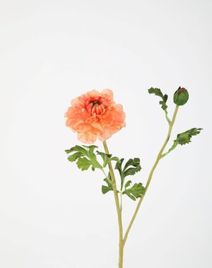 Colours & Green Zinnia Spray 71cm
