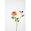 Colours & Green Zinnia Spray 71cm