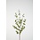 Colours & Green Eucalyptus Parvifolia 97cm