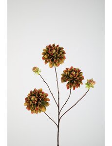 Colours & Green Dahlia Spray x5 90cm
