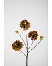 Colours & Green Dahlia Spray x5 90cm