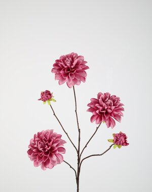 Colours & Green Dahlia Spray x5 90cm