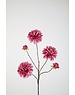 Colours & Green Dahlia Spray x5 90cm