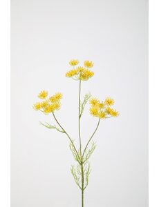 Colours & Green Queen Anne's Lace 84cm