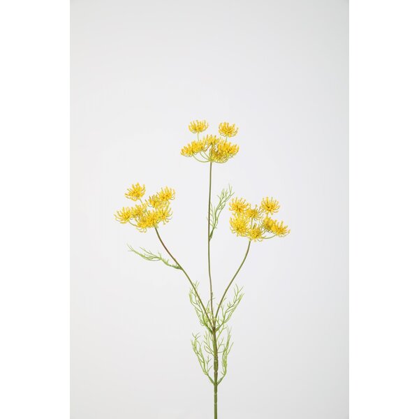 Colours & Green Queen Anne's Lace 84cm