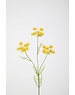 Colours & Green Queen Anne's Lace 84cm