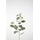 Colours & Green Eucalyptus Seed Spray 92cm