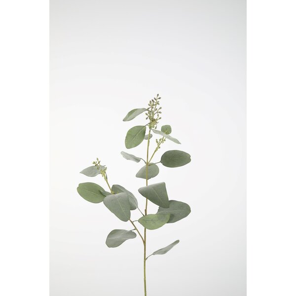 Colours & Green Eucalyptus Seed Spray 92cm