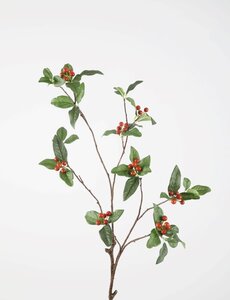 Colours & Green Begonia Leaf Spray 90cm