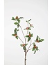 Colours & Green Begonia Leaf Spray 90cm