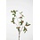 Colours & Green Begonia Leaf Spray 90cm