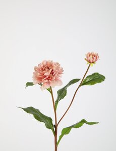 Colours & Green Dahlia Spray 74cm