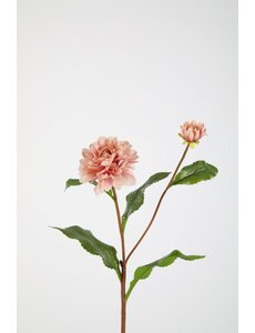 Colours & Green Dahlia Spray 74cm