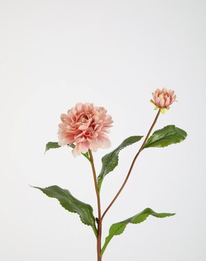 Colours & Green Dahlia Spray 74cm