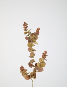Colours & Green Eucalyptus Spray 81cm