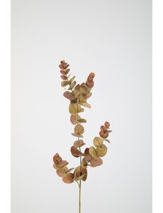 Colours & Green Eucalyptus Spray 81cm