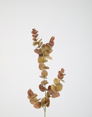 Colours & Green Eucalyptus Spray 81cm