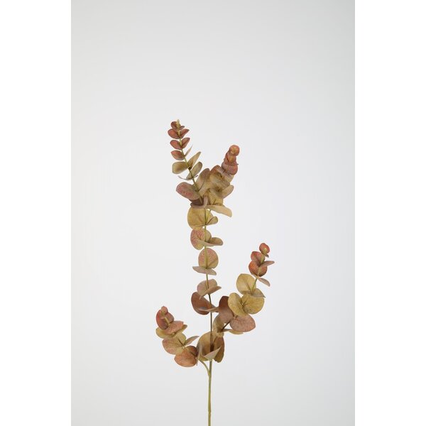 Colours & Green Eucalyptus Spray 81cm