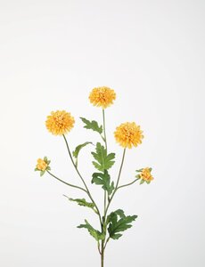 Colours & Green Mum Pompon Stem 71cm