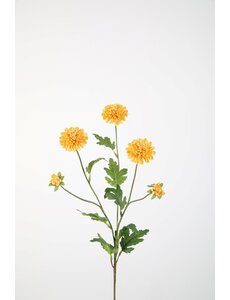 Colours & Green Mum Pompon Stem 71cm