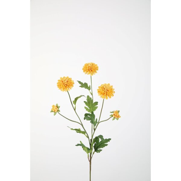Colours & Green Mum Pompon Stem 71cm
