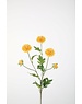 Colours & Green Mum Pompon Stem 71cm