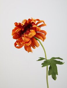 Colours & Green Mum Spray 63cm