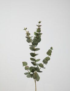 Colours & Green Eucalyptus Spray 81cm