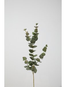 Colours & Green Eucalyptus Spray 81cm