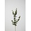 Colours & Green Eucalyptus Spray 81cm