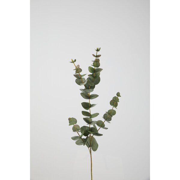 Colours & Green Eucalyptus Spray 81cm