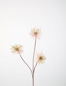 Colours & Green Thistle 82cm