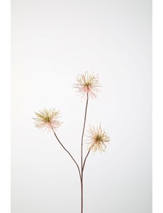 Colours & Green Thistle 82cm