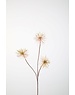 Colours & Green Thistle 82cm