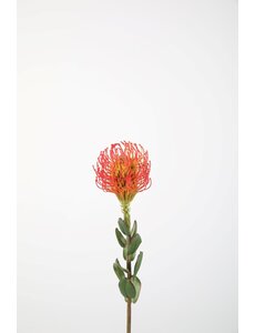 Colours & Green Protea Pincushion 64cm