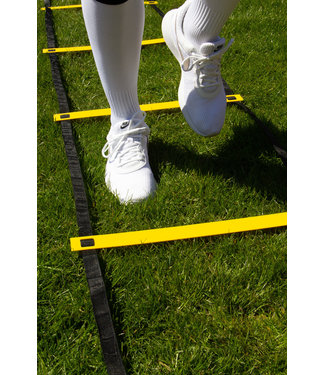 Trainingsladder 5,5 meter