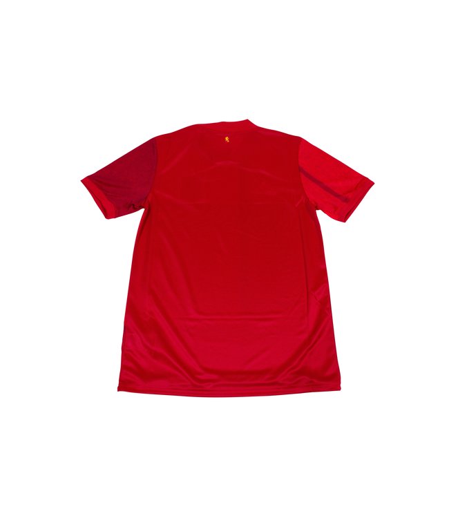 Spanje Heren thuisshirt 2020-2021