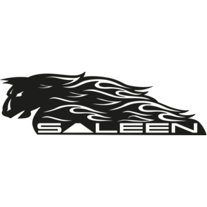 Saleen 2